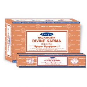 SATYA DIVINE KARMA 12x15GM INCENSE BOX